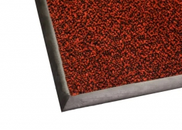 Париж  брудоочисний килим - foto 5